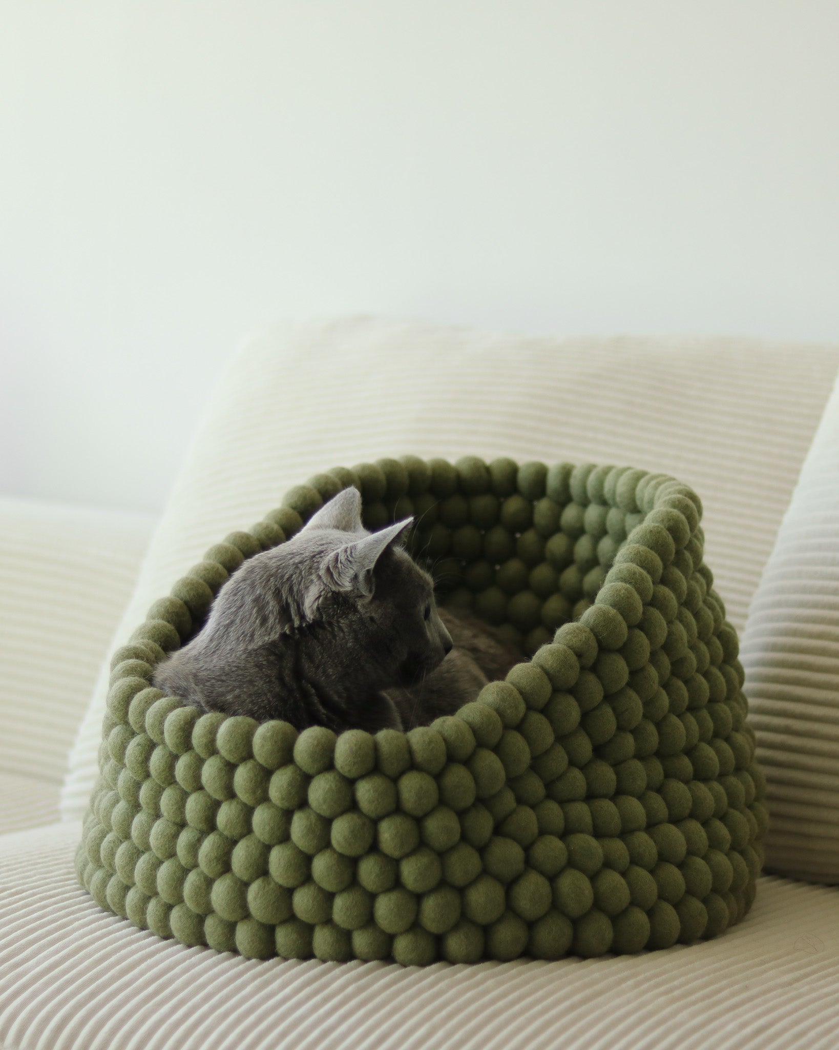 Cat lying in a green felt ball  pet bed on a beige sofa.