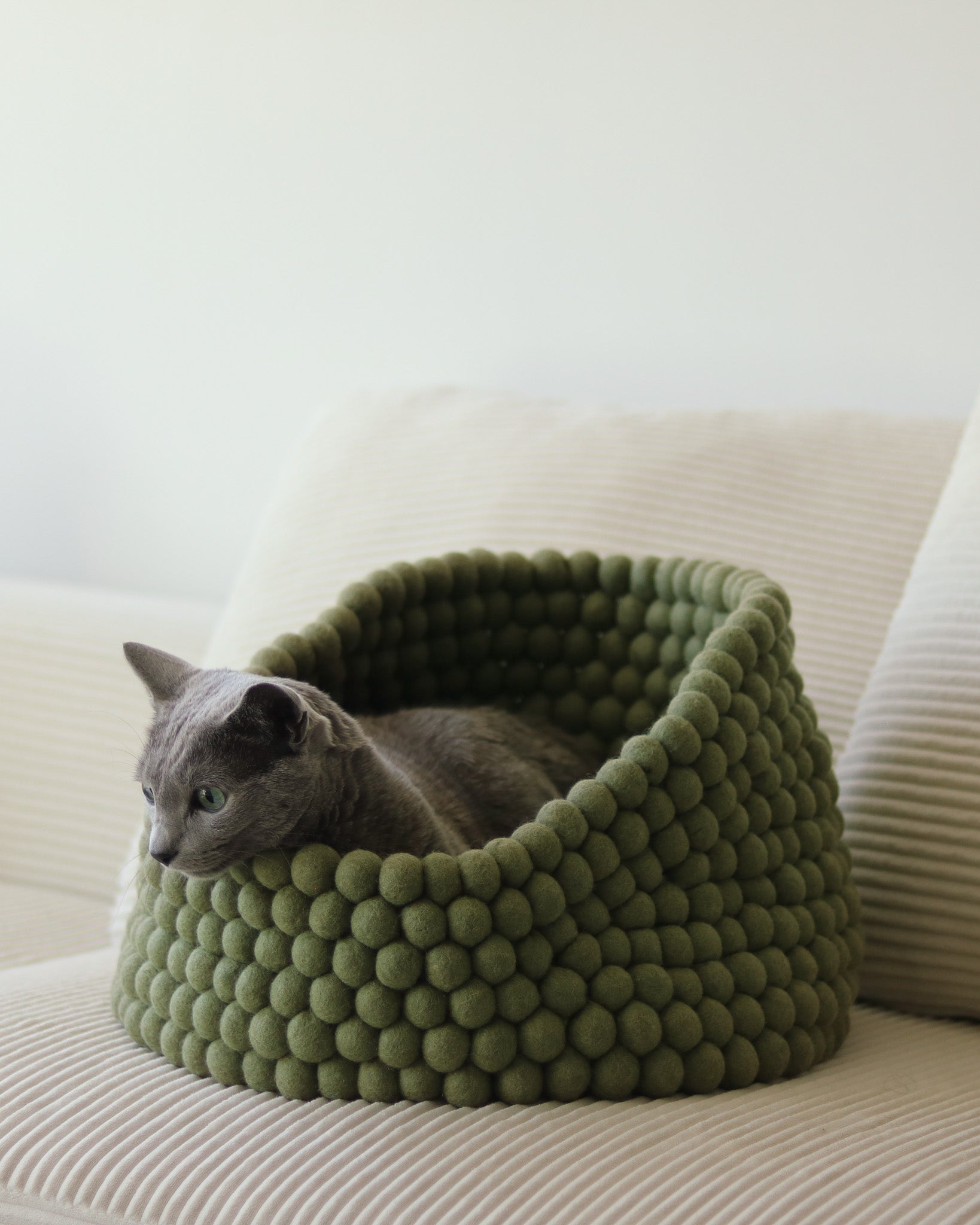 Cat lying in a green felt ball pet bed on a couch.