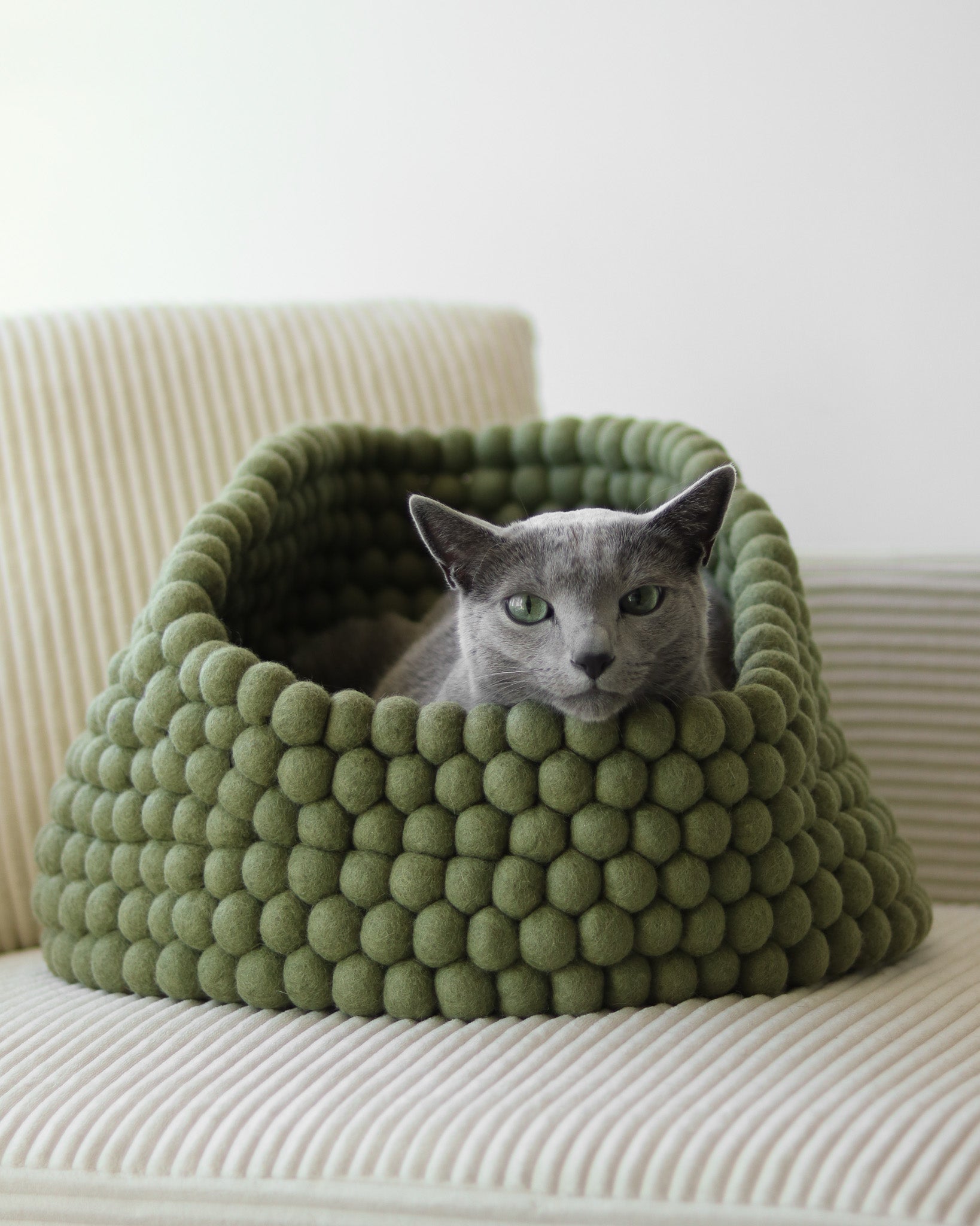 Cat peeking out from a green felt ball pet bed on a white couch
