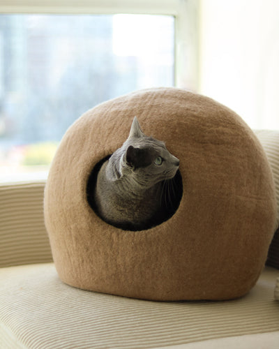 Paz Felt Cave
