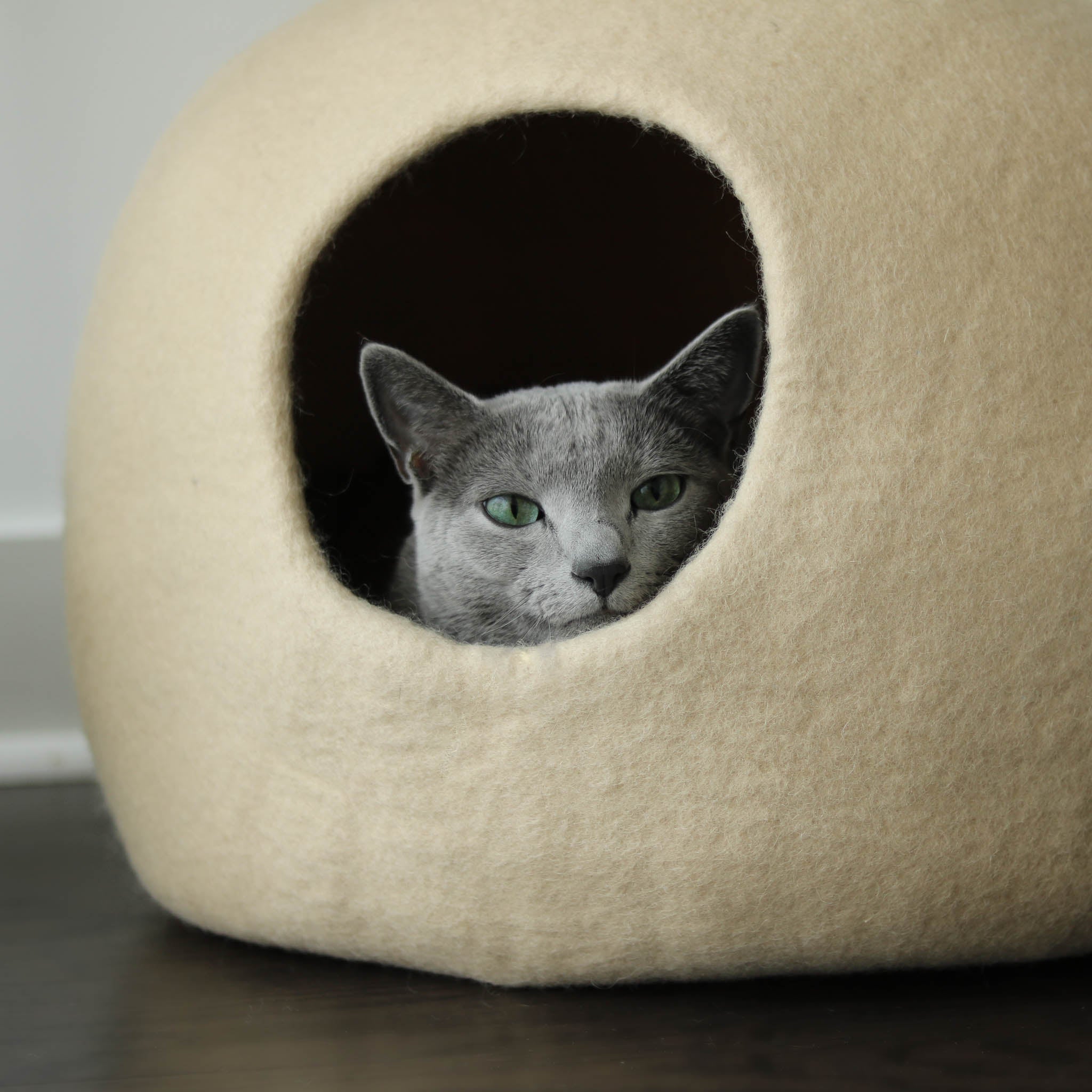 Why Do Cats Love Den-Like Beds?