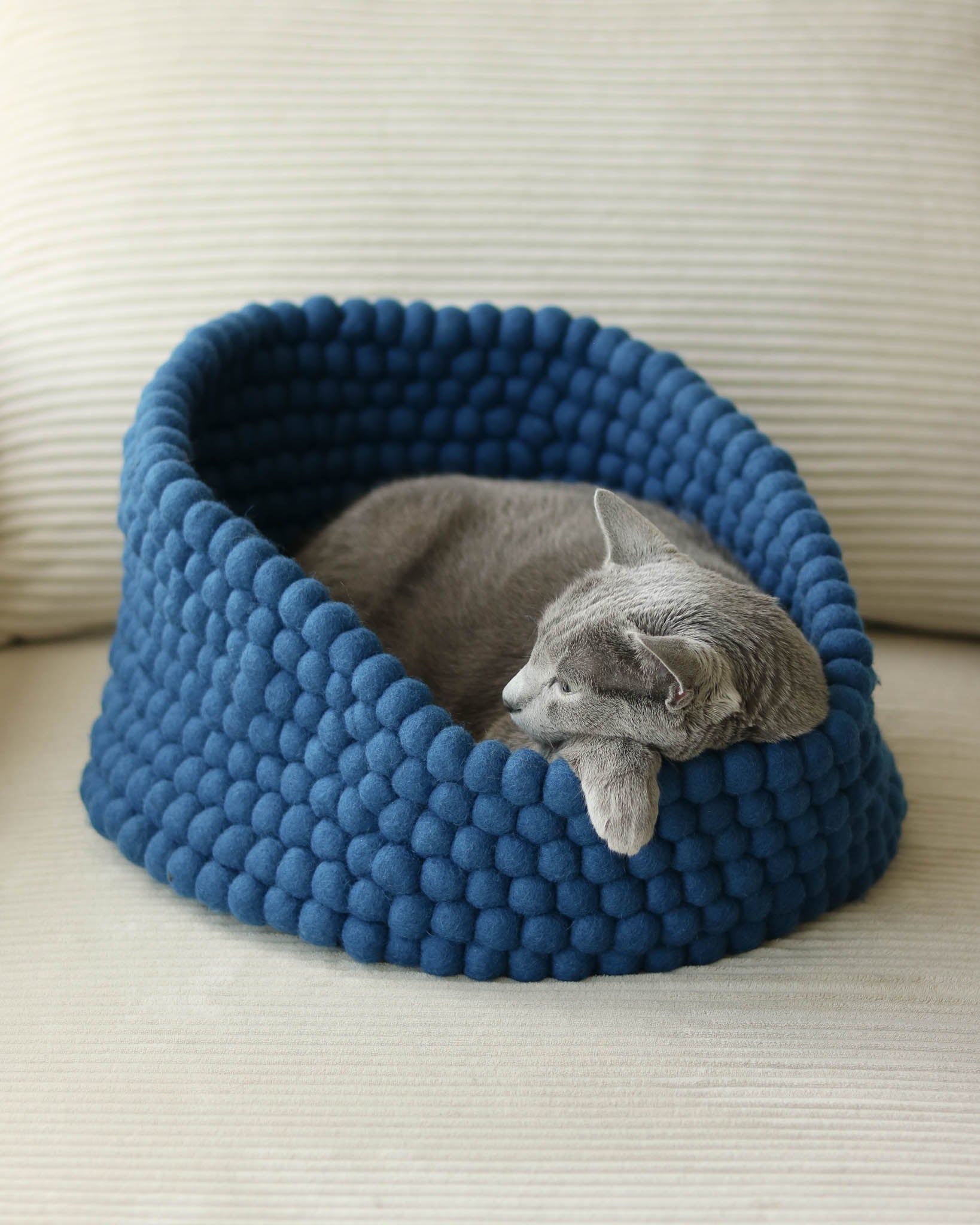 Noots Coco felt ball pet bed in royal blue with cat inside