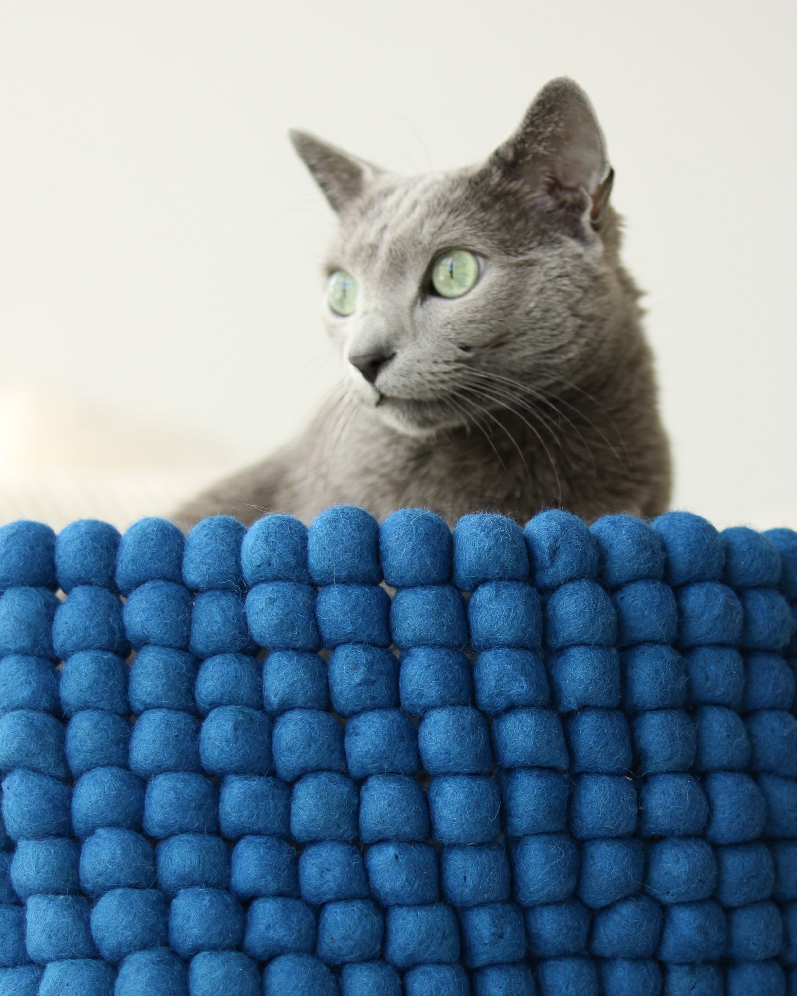 Noots Coco felt ball pet bed in royal blue