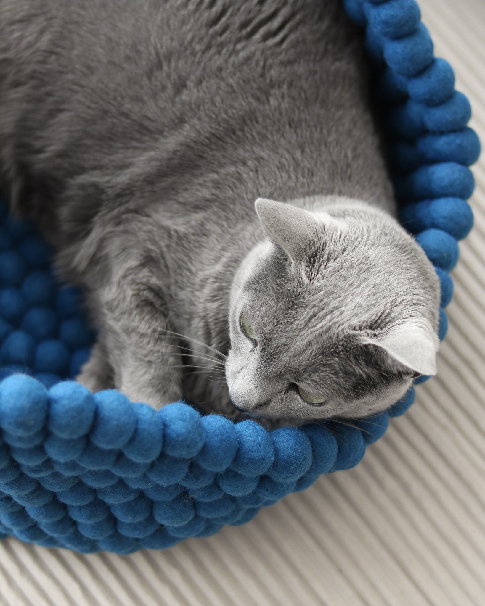 Noots Coco felt ball pet bed in royal blue