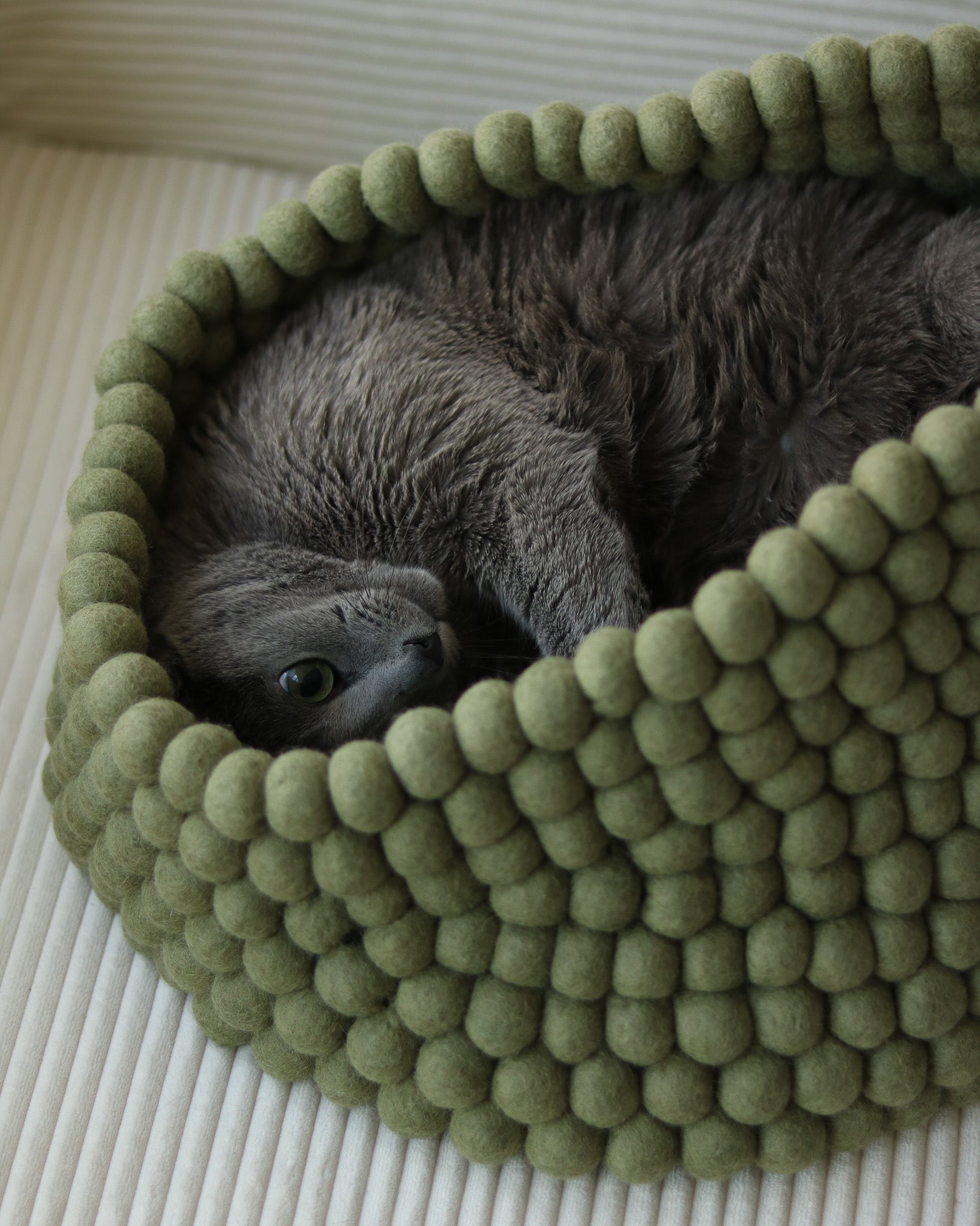 Gray cat curled up in a green felt ball pet bed