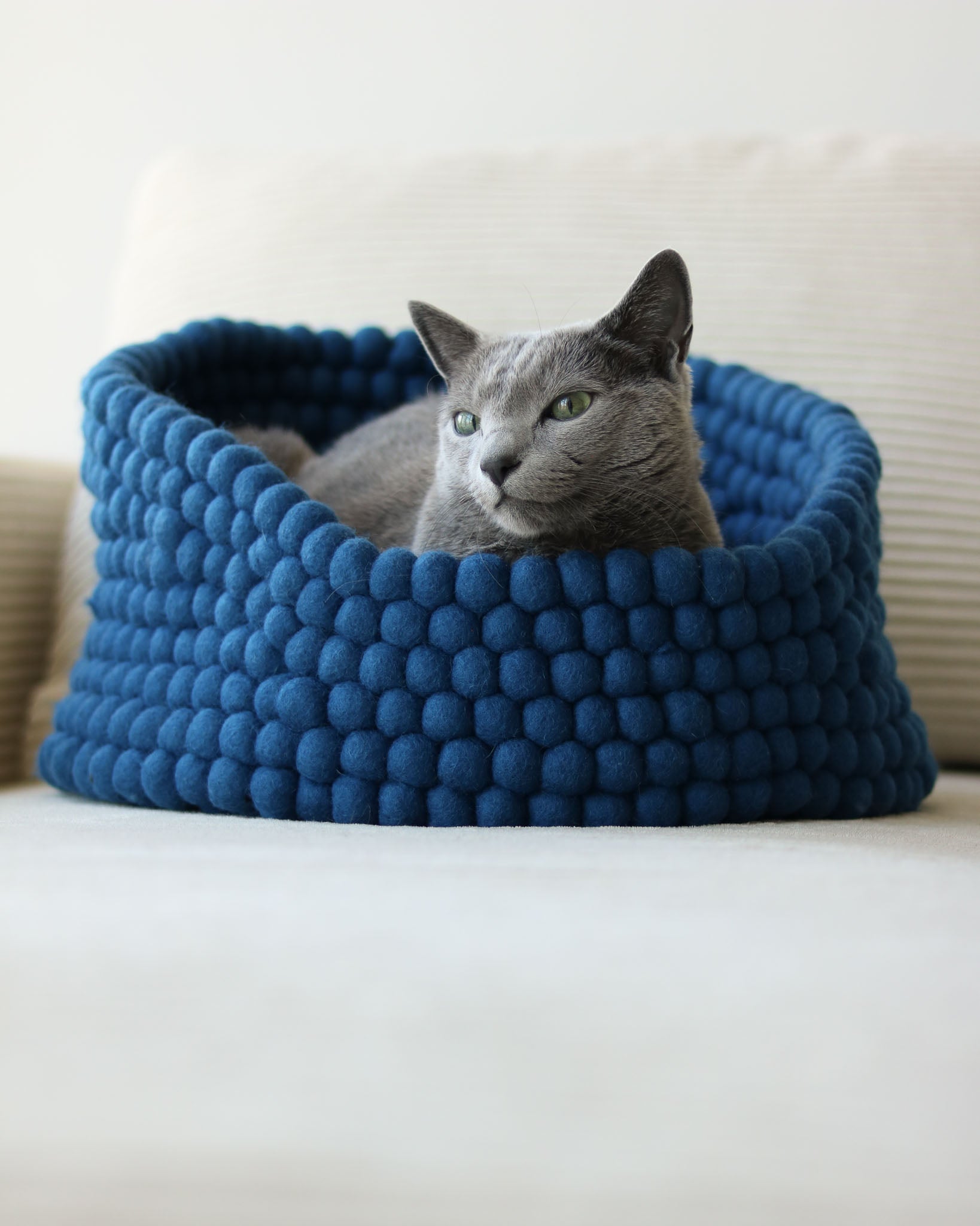 Cat peeking out from a blue felt ball pet bed on a white couch