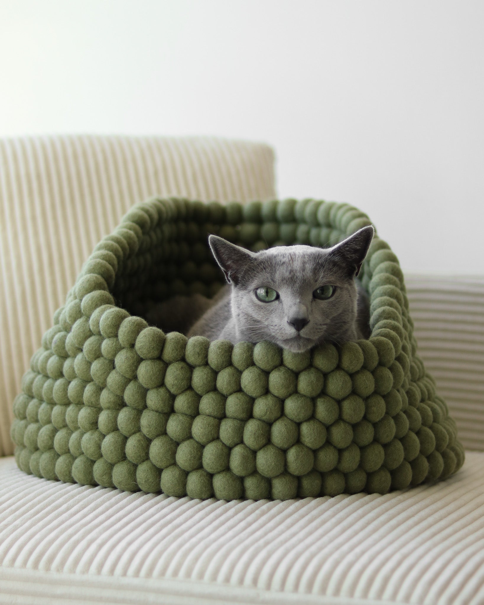 Cat peeking out from a green felt ball pet bed on a white couch