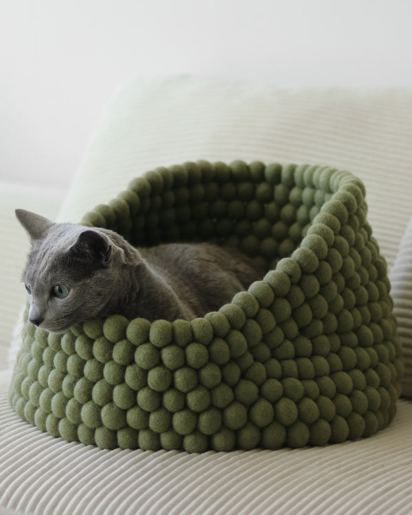 Cat lying in a green felt ball pet bed on a couch.
