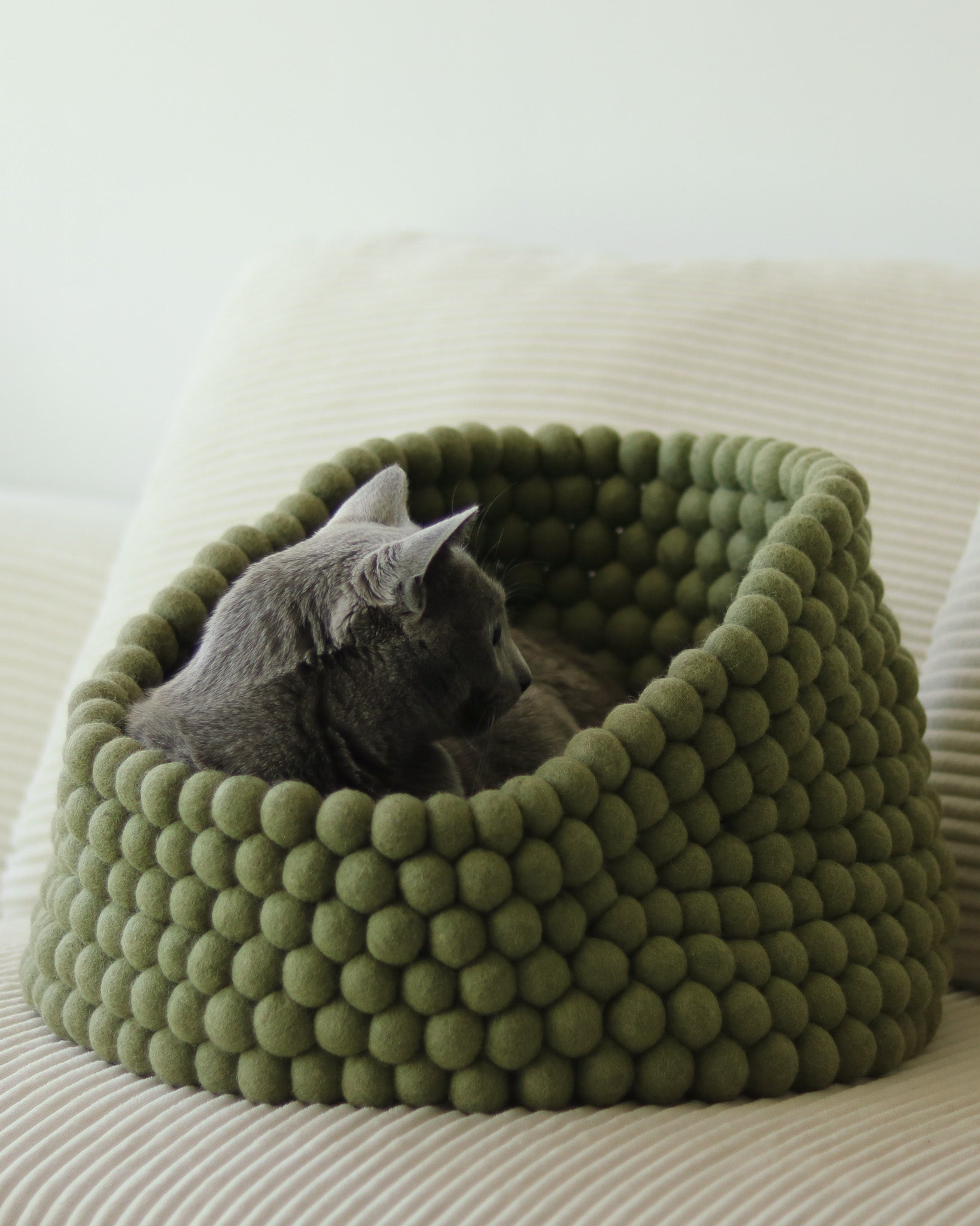 Cat lying in a green felt ball pet bed on a beige sofa.