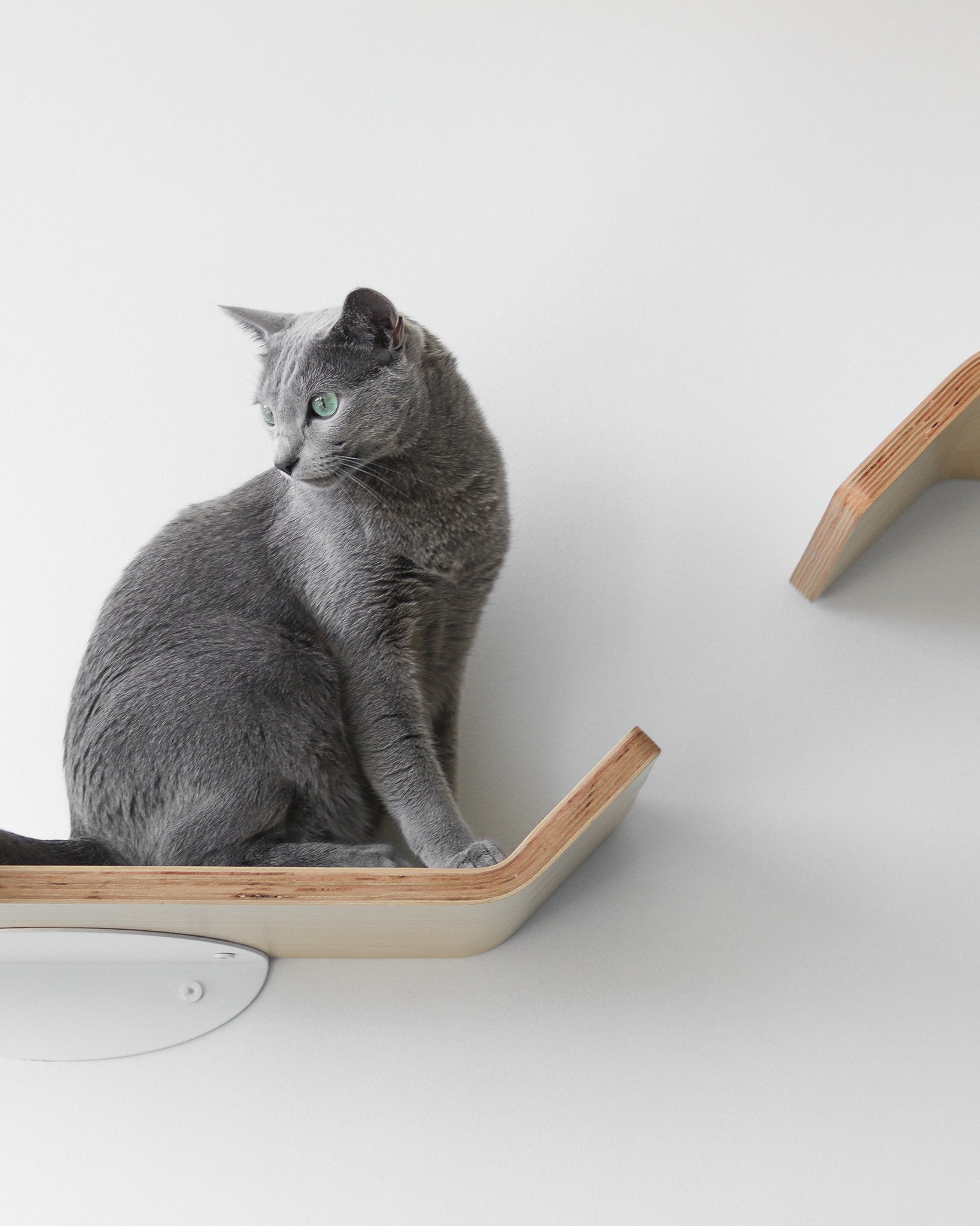 Figo Shelves