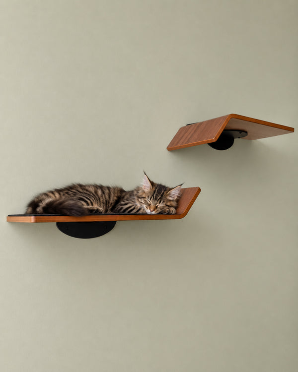 Figo Shelves