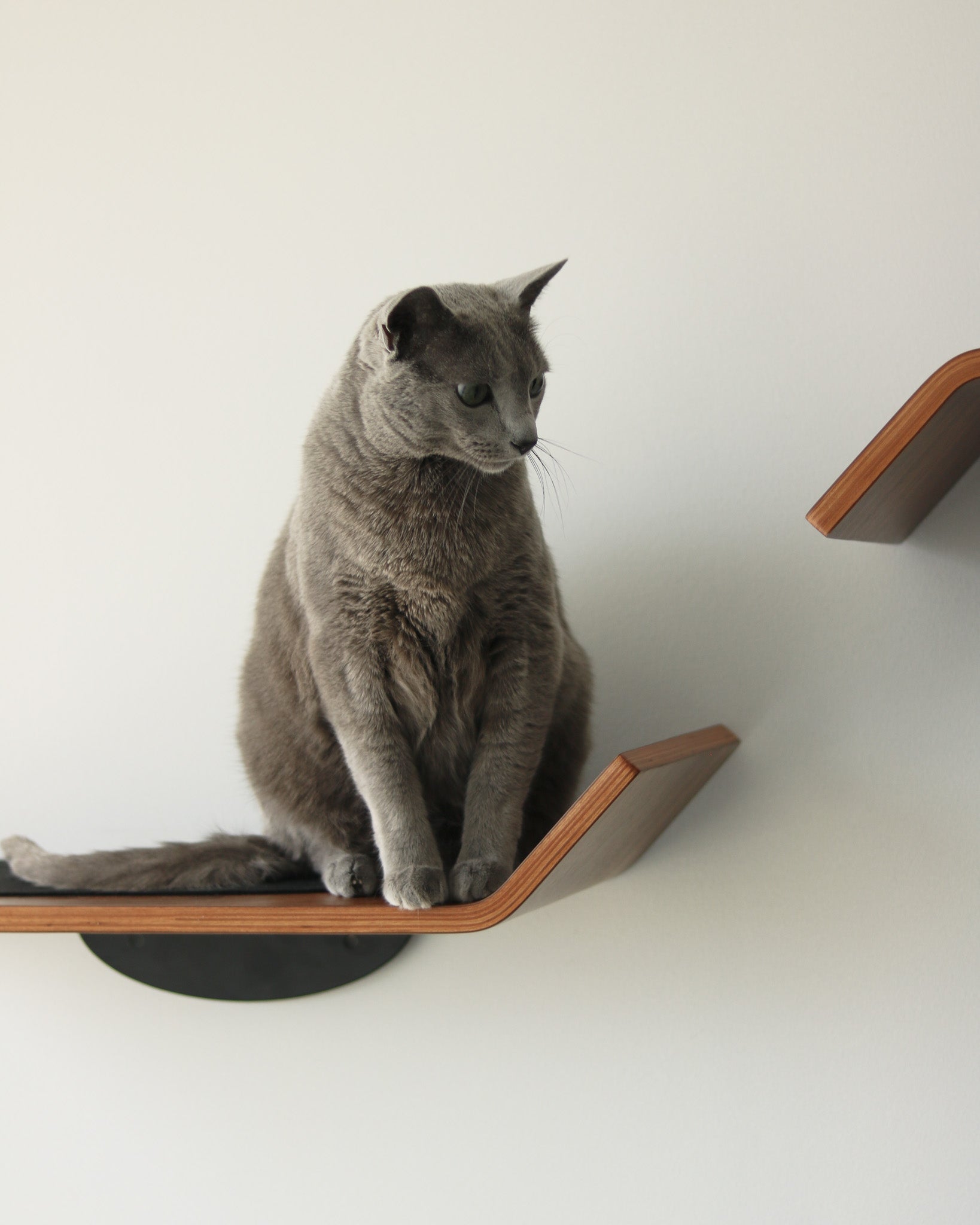 Figo Shelves