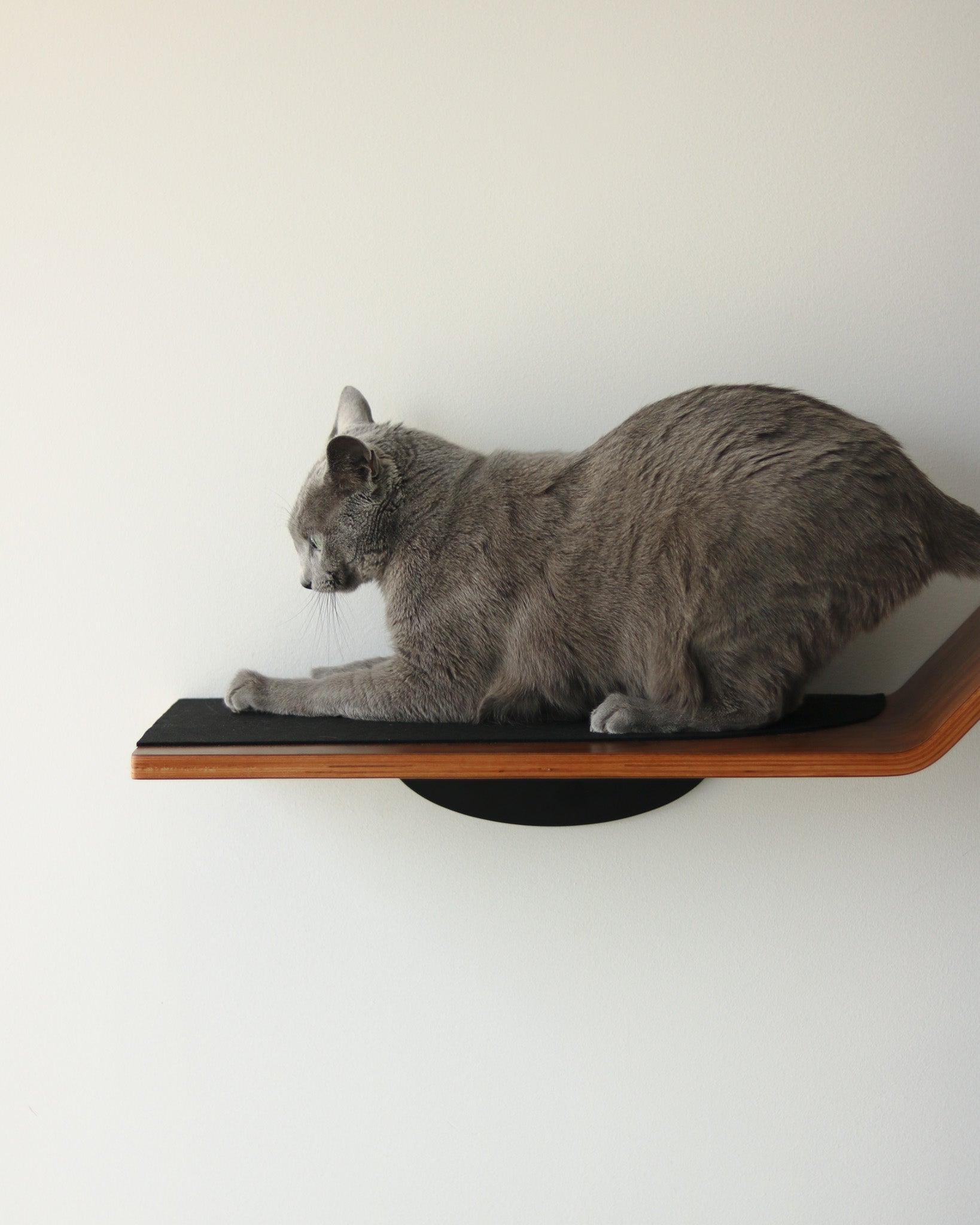 Figo Shelves