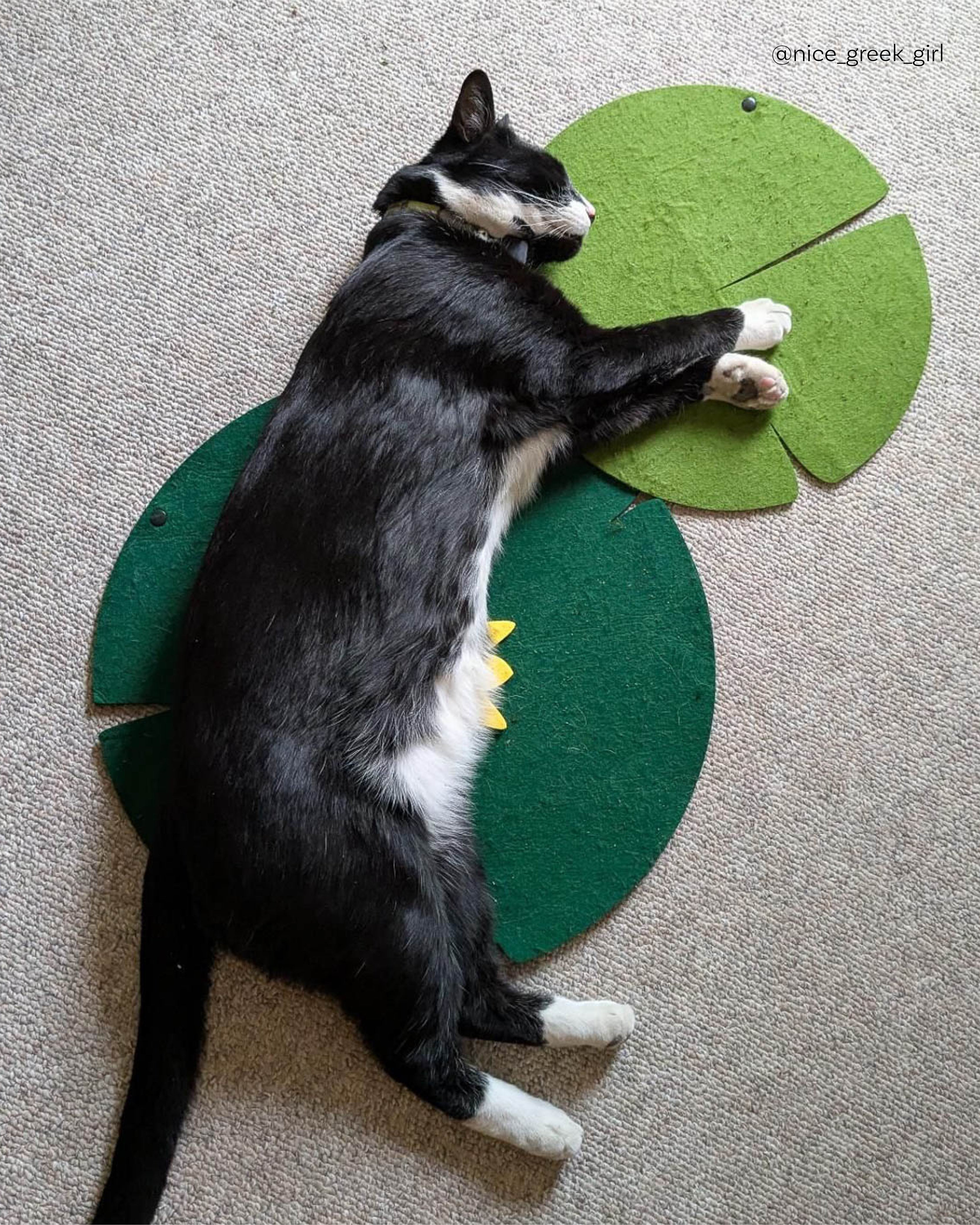 Cat lying on a green lily pad-shaped cat scratcher