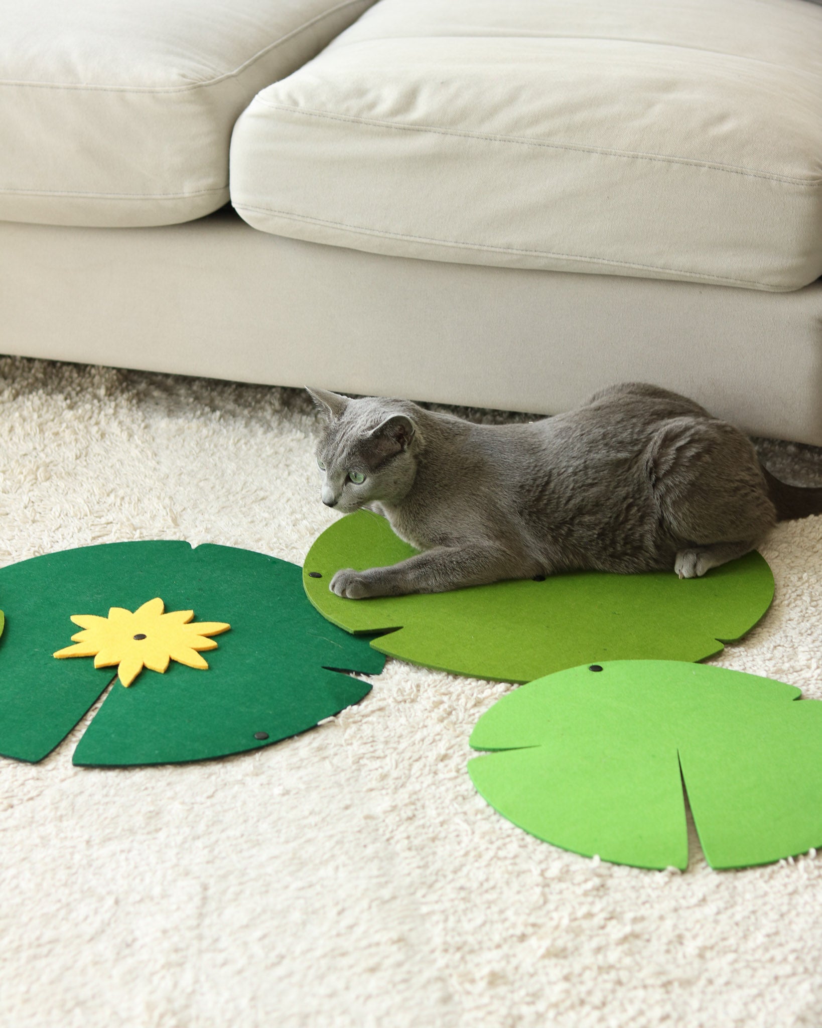 Lily Lounge & Scratch Pad
