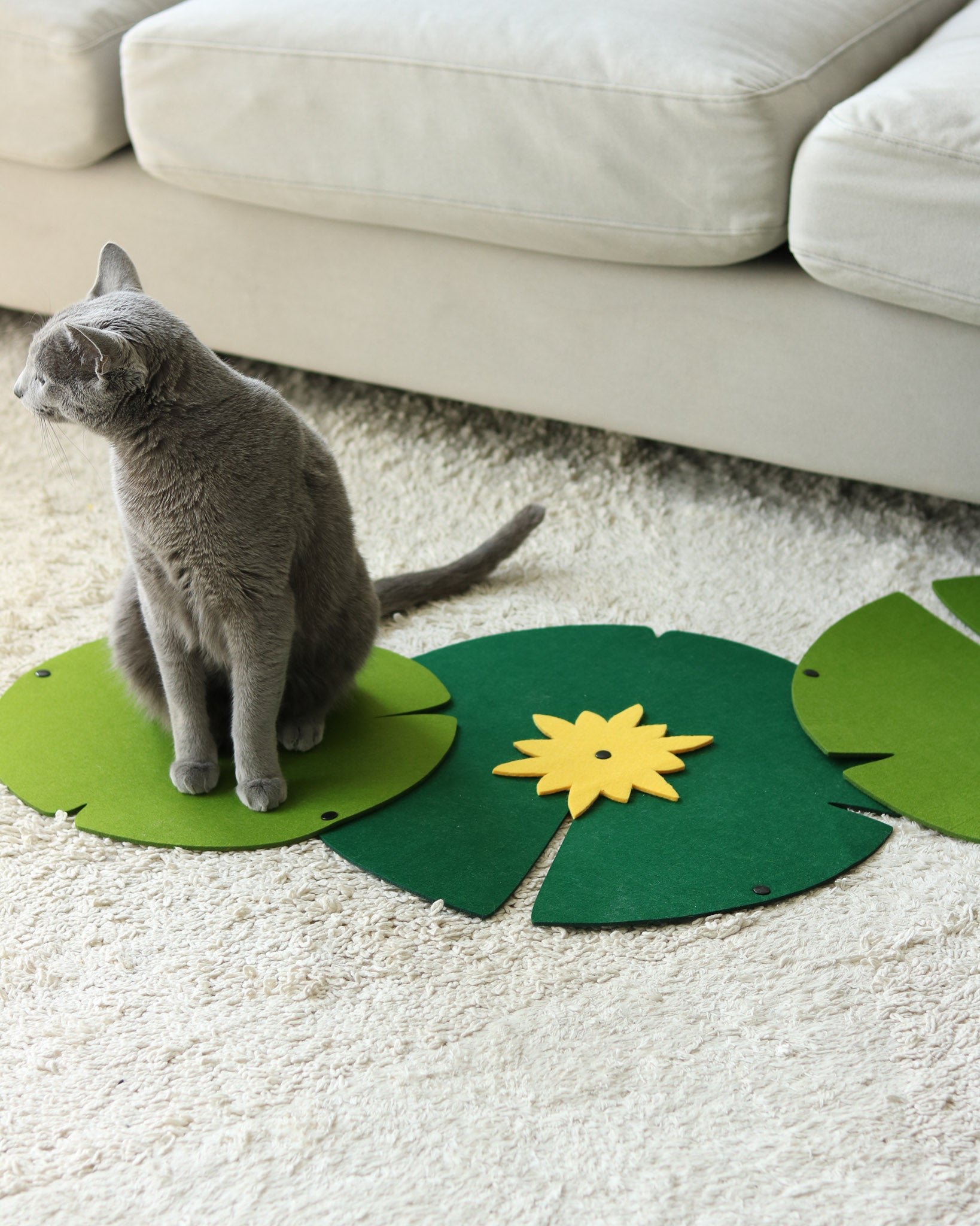 Lily Lounge & Scratch Pad