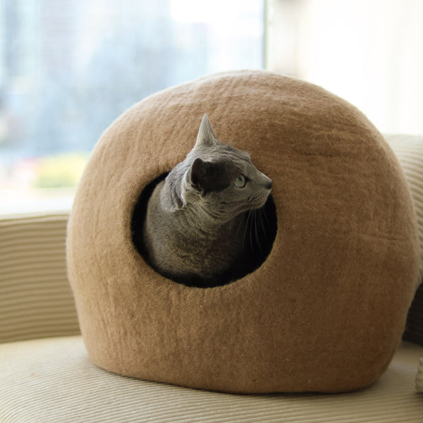 Paz Felt Cave