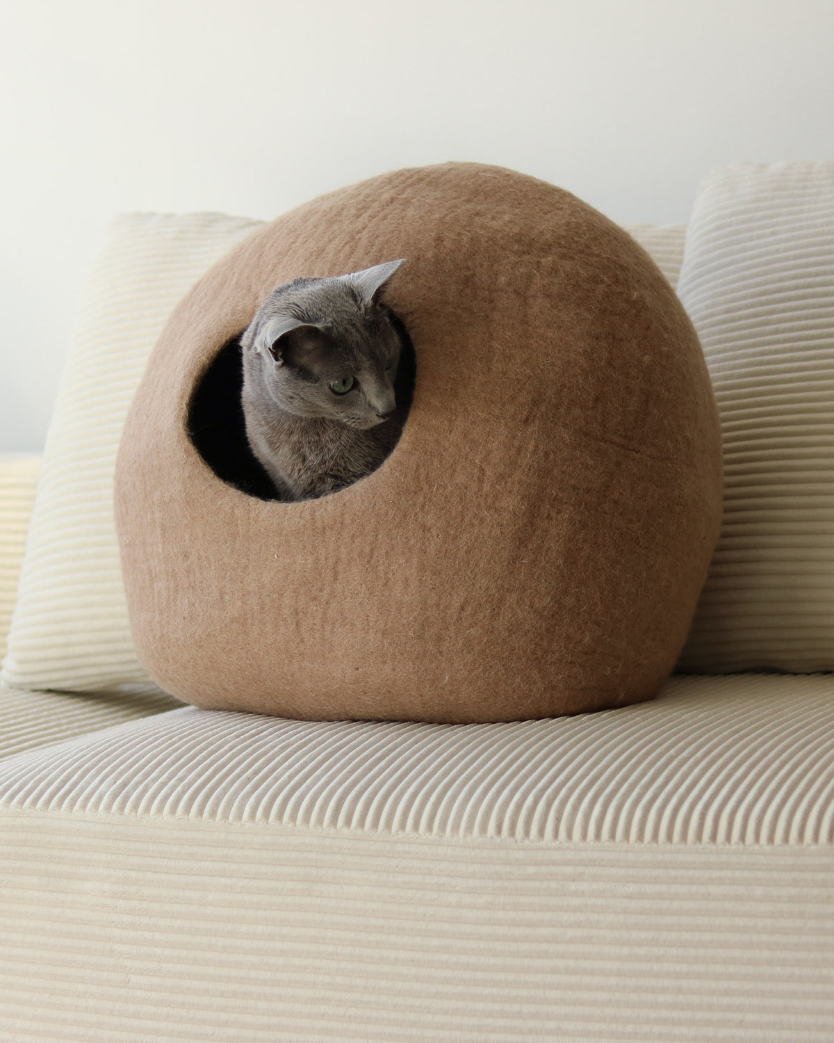 Paz Felt Cave