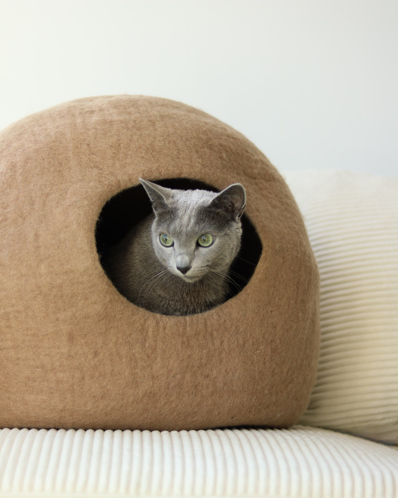 Paz Felt Cave