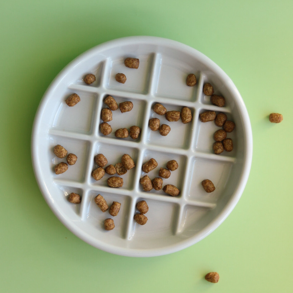 Grey slow feeder bowl with brown kibble on a green background
