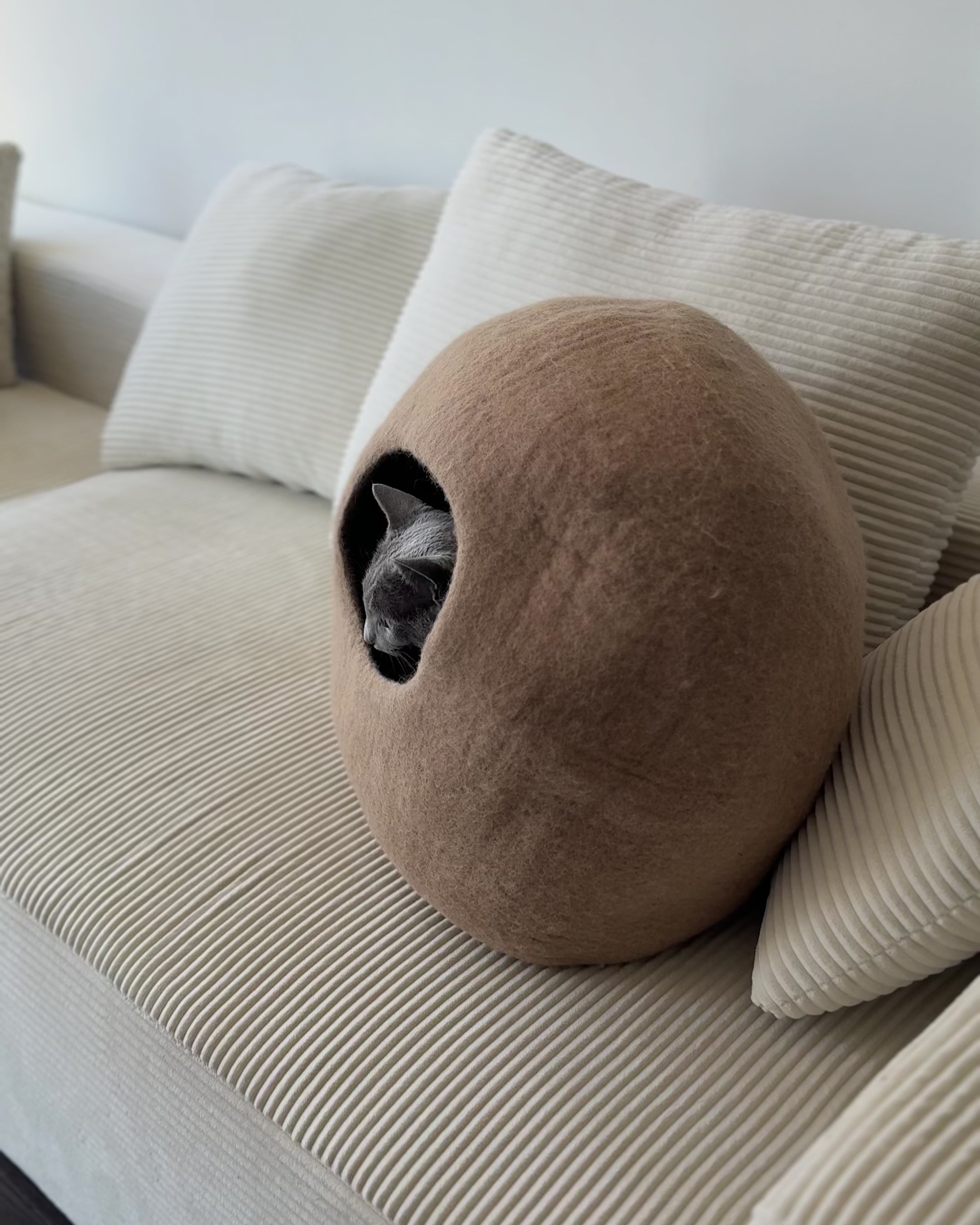 Cat Cave at home