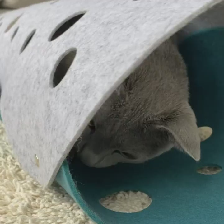 Lima Felt Cat Tunnel in Use