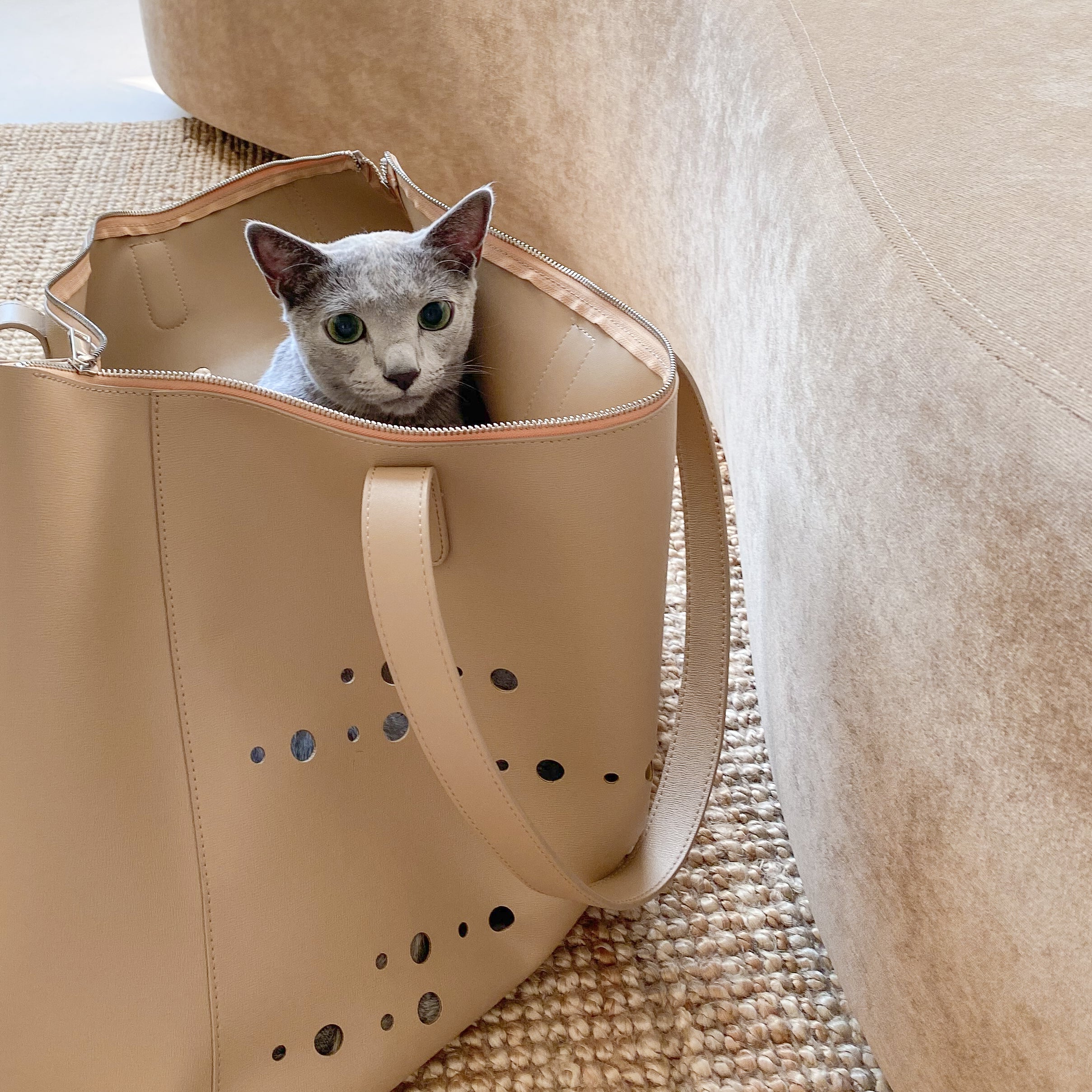 Cat transportation bag best sale