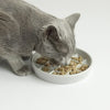 Noots Maple Waffle Slow Feeder Cat Bowl Gray Cat Eating