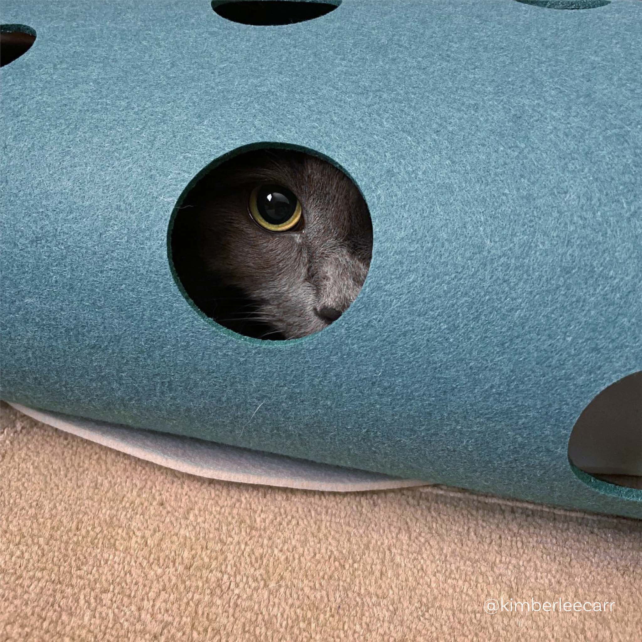 Cat tunnel toy deals