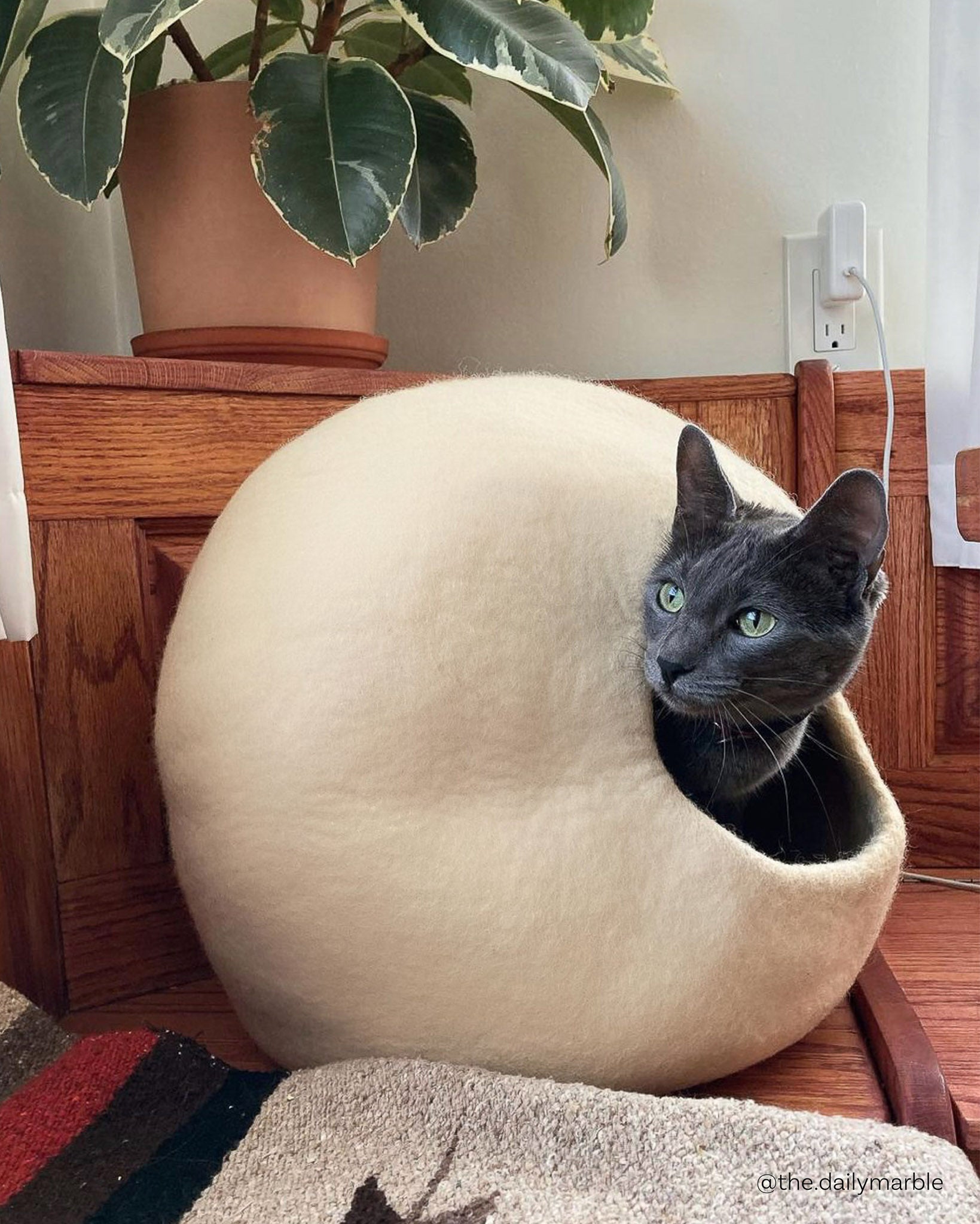 Paz Felt Cat Cave on Instagram by @the.dailymarble