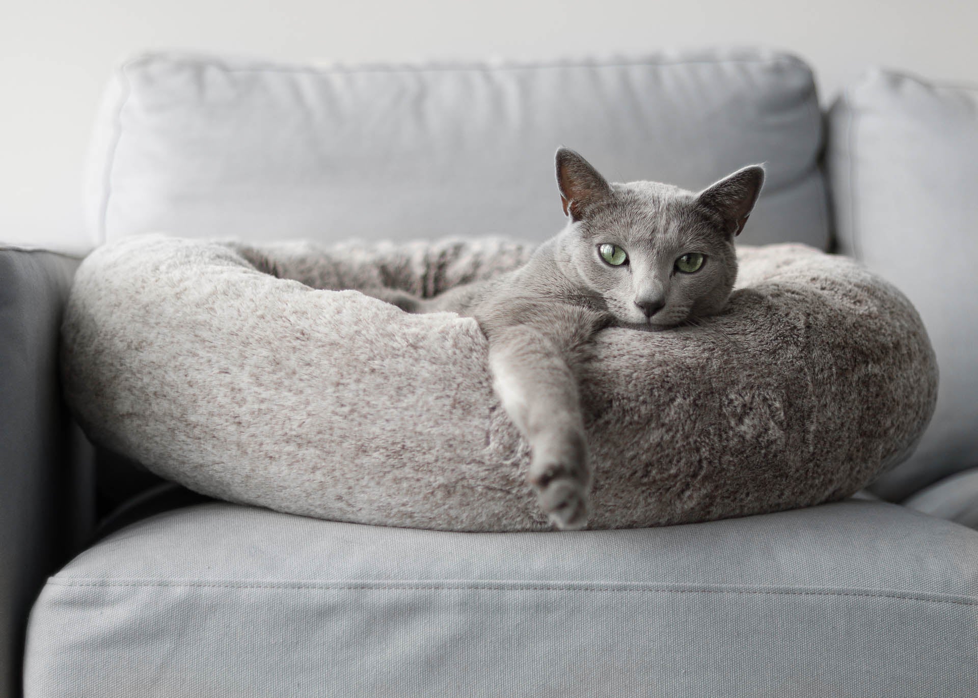 Noots Pets Modern Faux Fur Cat Bed